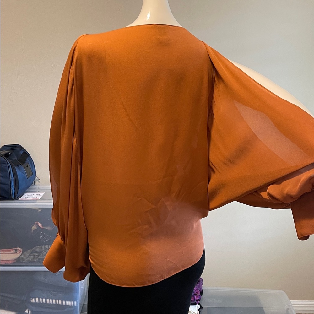 Haute Hippie Bronze Silk Chiffon Top Dolmam Sleeves Deep Embellished V-Neck M EC - Picture 11 of 15